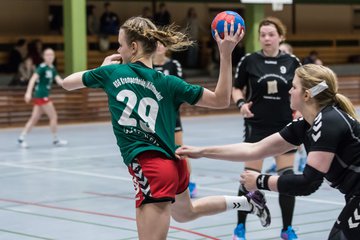 Bild 154 - Damen HSG Kremperheide/M�nsterdorf - Suchsdorfer SV : Ergebnis: 39:22